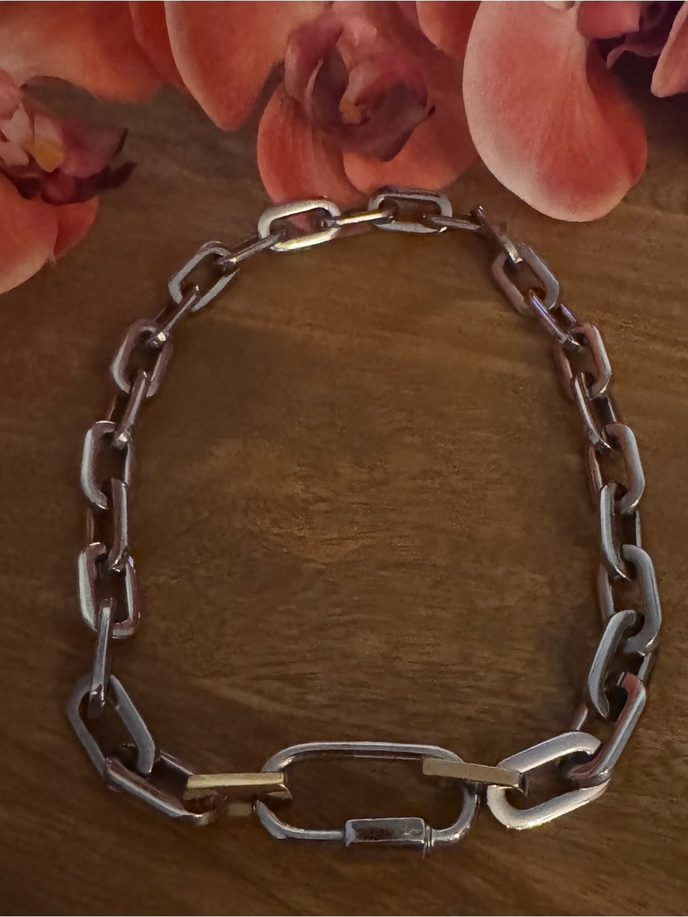 Carabiner Puerto Chain necklace. Mixed metals.